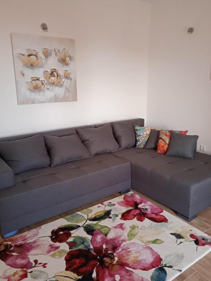 Gordana Apartment Rijeka Bagian luar foto